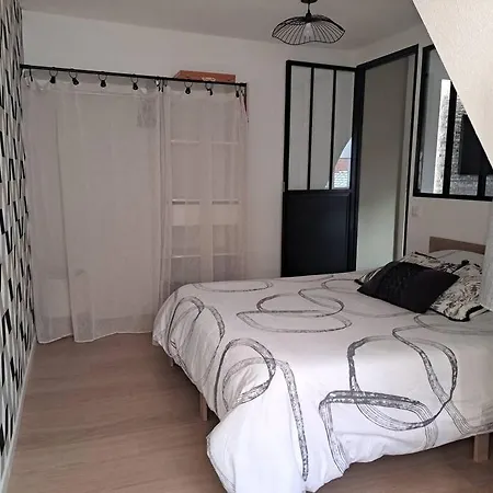 Apartamento Le Cocon De Jeanne - Centre Historique - Alsace *