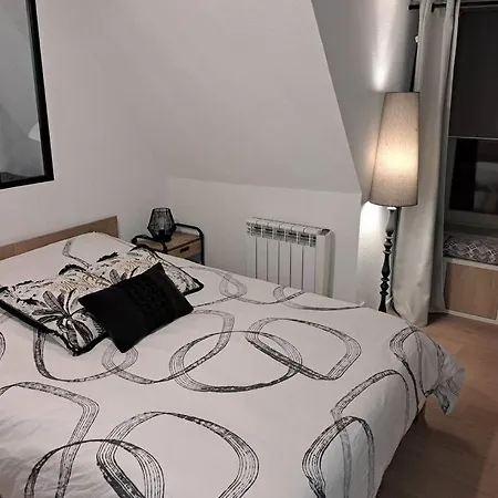 Apartment Le Cocon De Jeanne - Centre Historique De Selestat